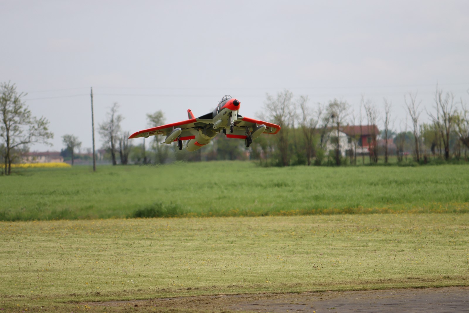 IMG_2025_AL-0768.JPG