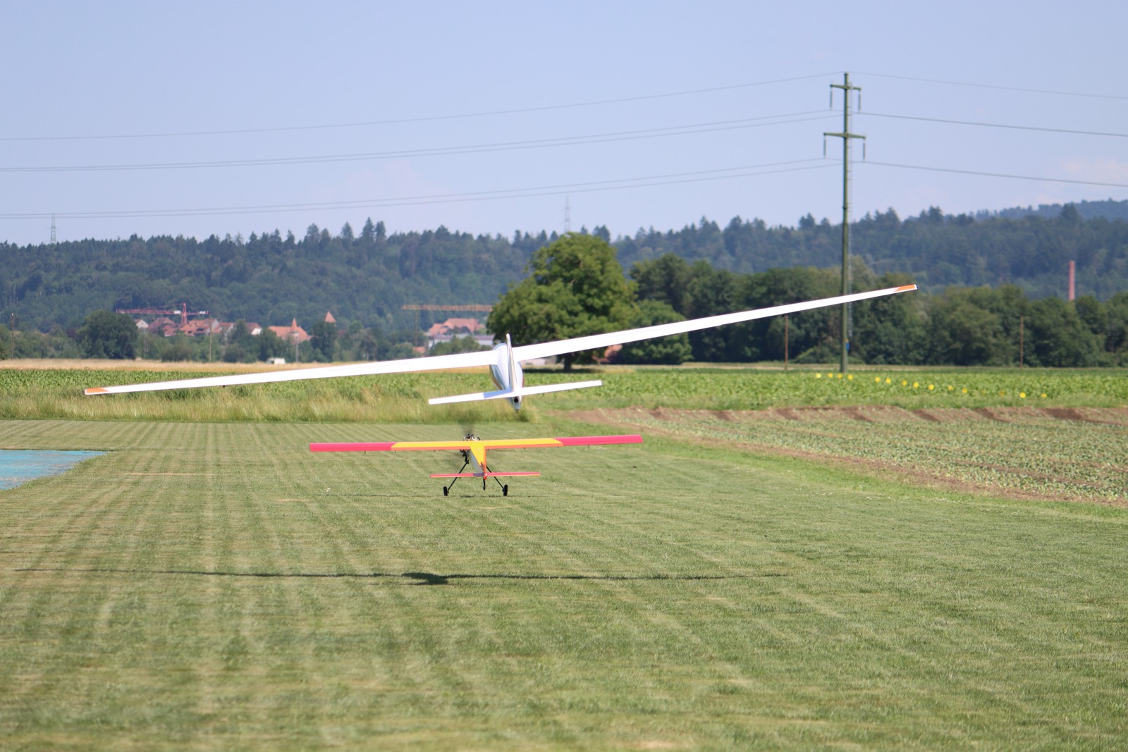 IMG 4586