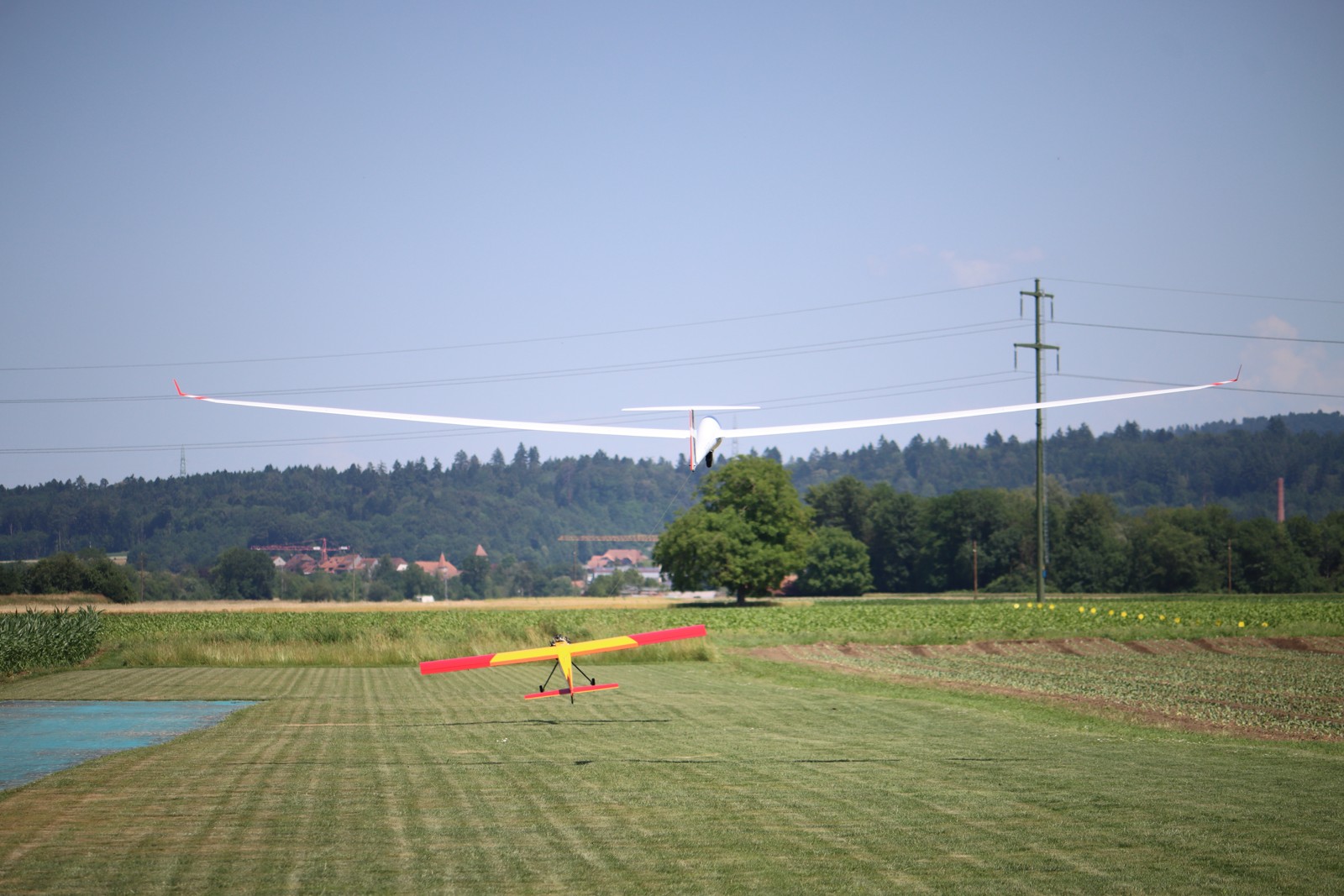 IMG 4643
